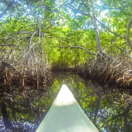 majagua dapctravel.com 7